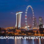 employment pass