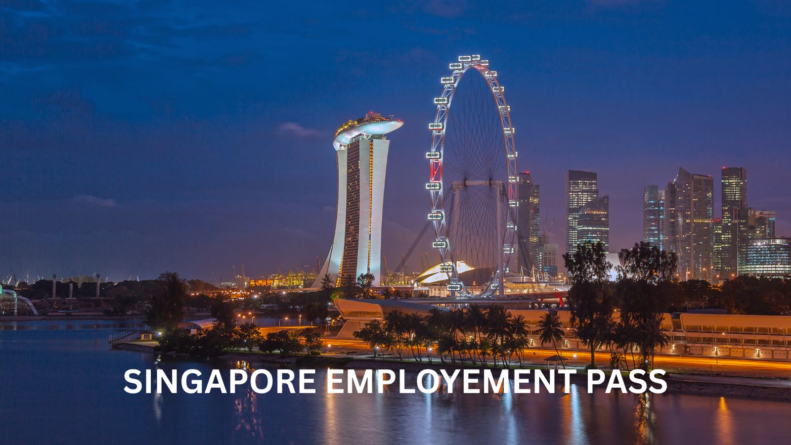 employment pass
